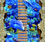 蓝色   海底世界