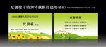 绿色名片