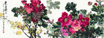 牡丹花