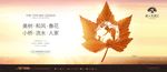地产提案  地产广告 高端地产
