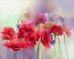 鸦片花