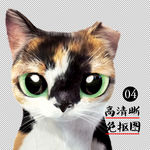 猫写实