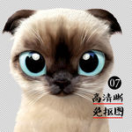 绘画猫