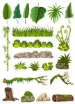 植物