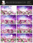 唯美浪漫迷幻欧式紫色花朵视频