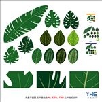 叶子