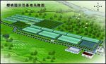 大棚鸟瞰图