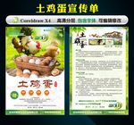 土鸡蛋宣传单