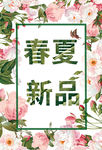 红花春秋 新品   时光花 玫