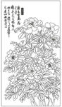牡丹