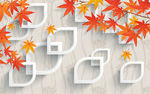 枫叶