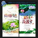 荷花