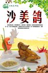 沙姜鸽