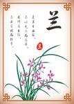 兰花矢量 梅兰竹菊