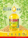 黄豆海报