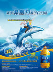 DHA鲨鱼海报