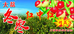 大荔冬枣