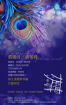 孔雀 创意 盛开 音乐 钢琴