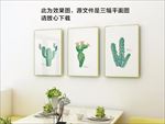 植物仙人掌装饰画-可商用