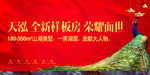 孔雀  盛开 音乐 钢琴  天