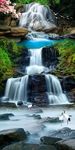 流水生财瀑布鲤鱼天鹅山水玄关