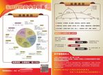 保险彩页