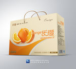 橙子包装