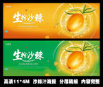生榨沙棘汁海报
