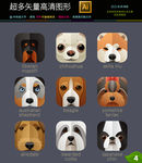 动物头像图标icons