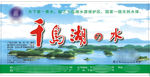 千岛湖水贴