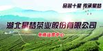 十星红茶叶