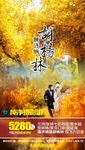 胡杨林