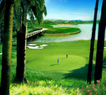 别墅豪宅  高尔夫GOLF 效