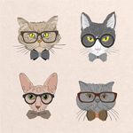 猫