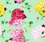 zar花
