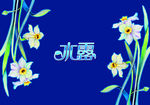 月饼包装