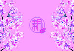 月饼包装