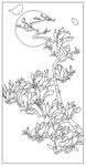 玉兰花
