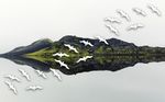 北欧风山水飞鸟背景墙