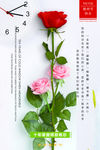 教师节海报