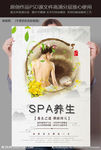 SPA养生