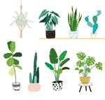 手绘北欧植物插画