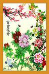 富贵花开