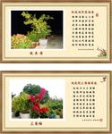 花草