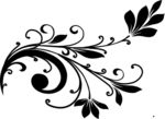 花纹