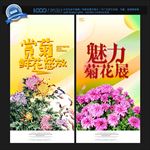 菊花展