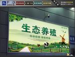 生态养殖