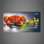 大闸蟹海报