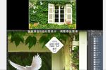 现代简约3D立体爬山虎开窗背景