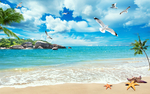 海边风景 海星 椰树